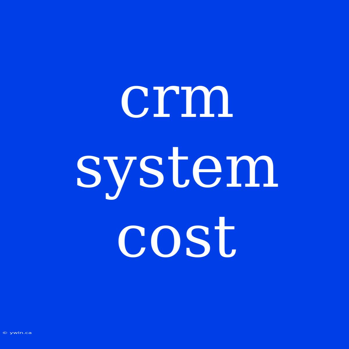 Crm System Cost