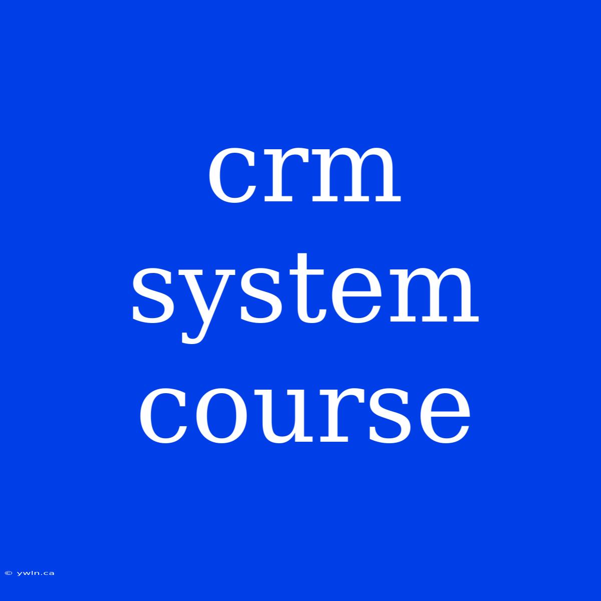 Crm System Course