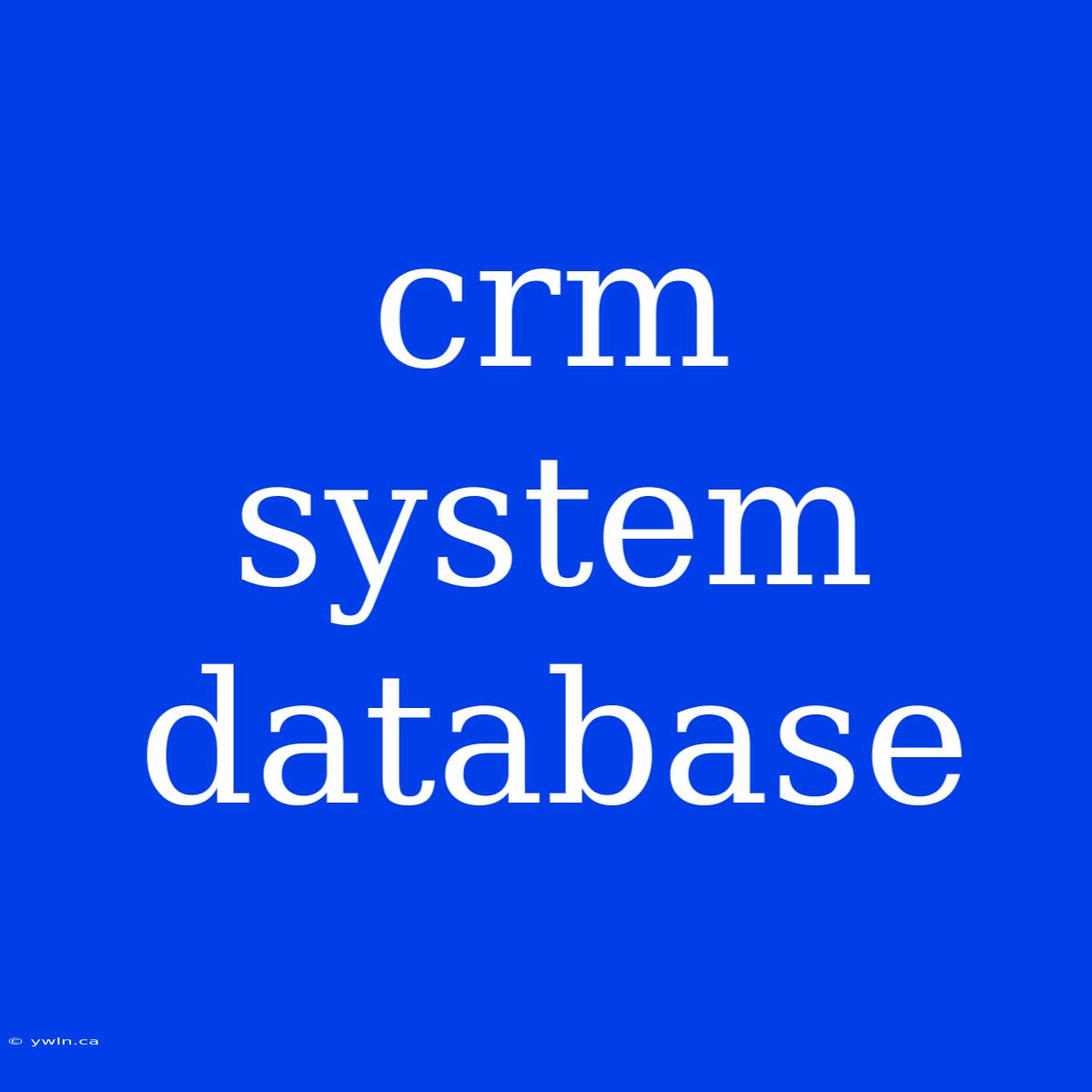 Crm System Database