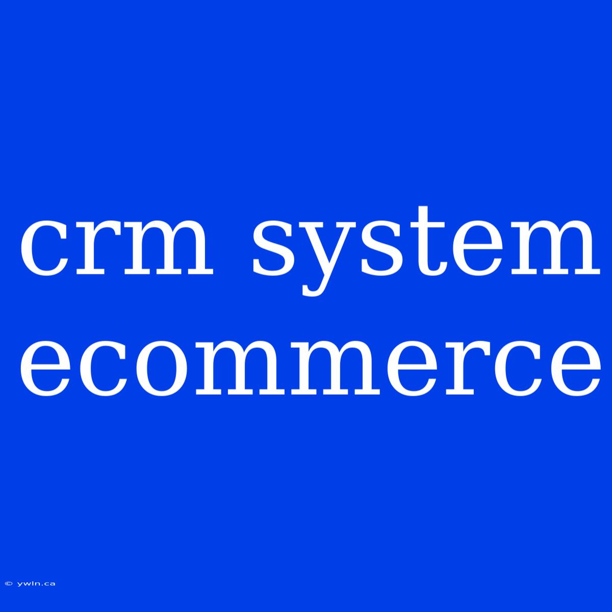 Crm System Ecommerce