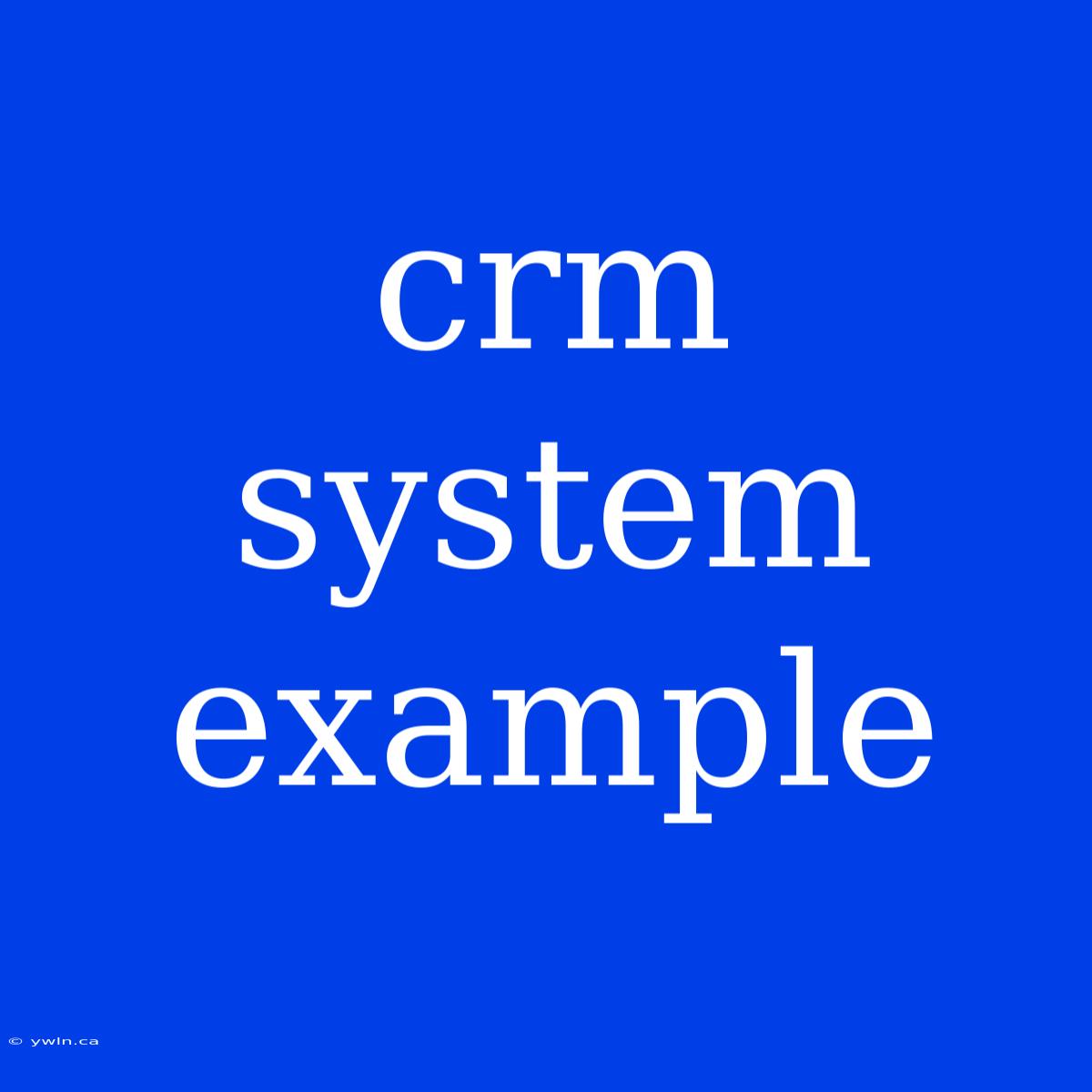 Crm System Example