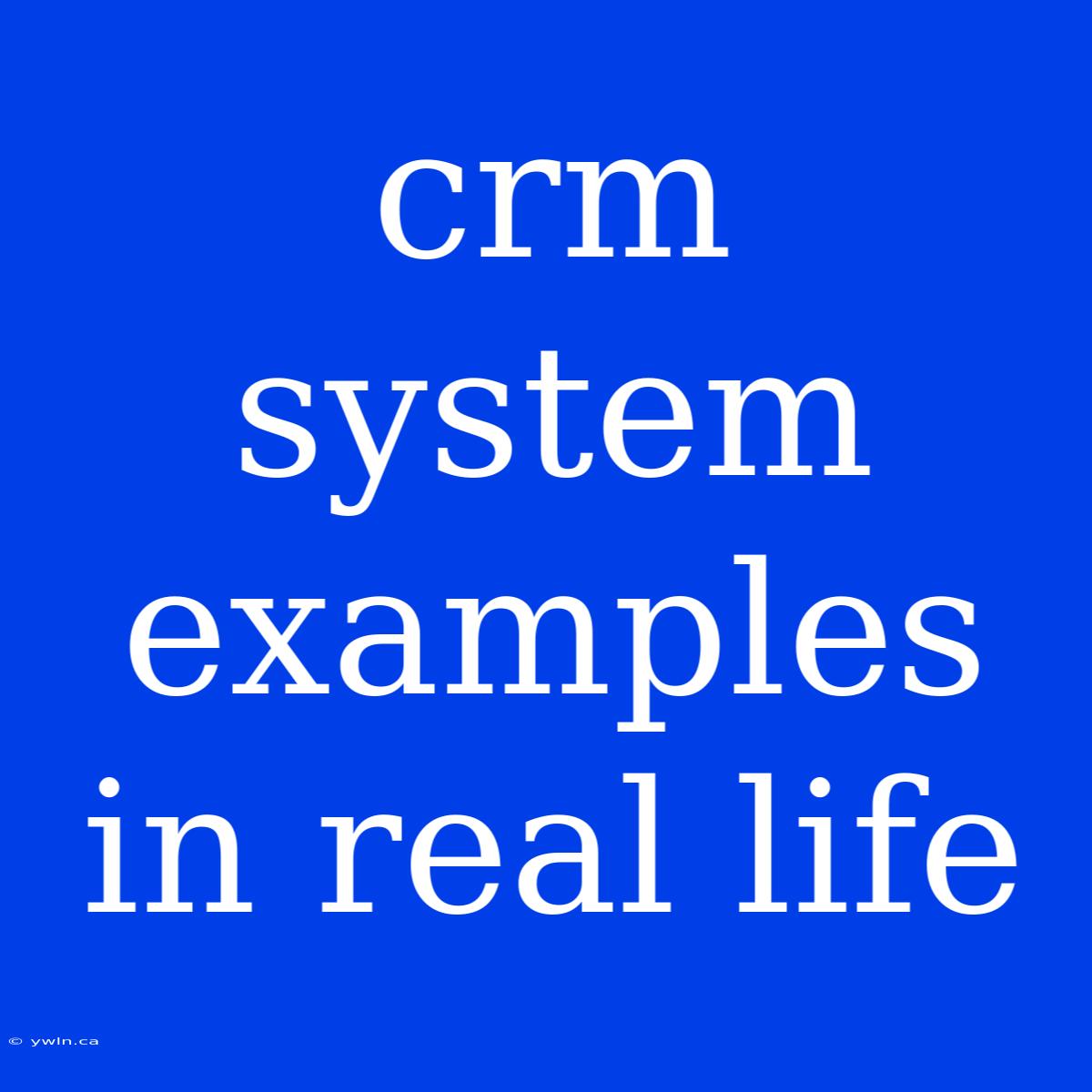 Crm System Examples In Real Life