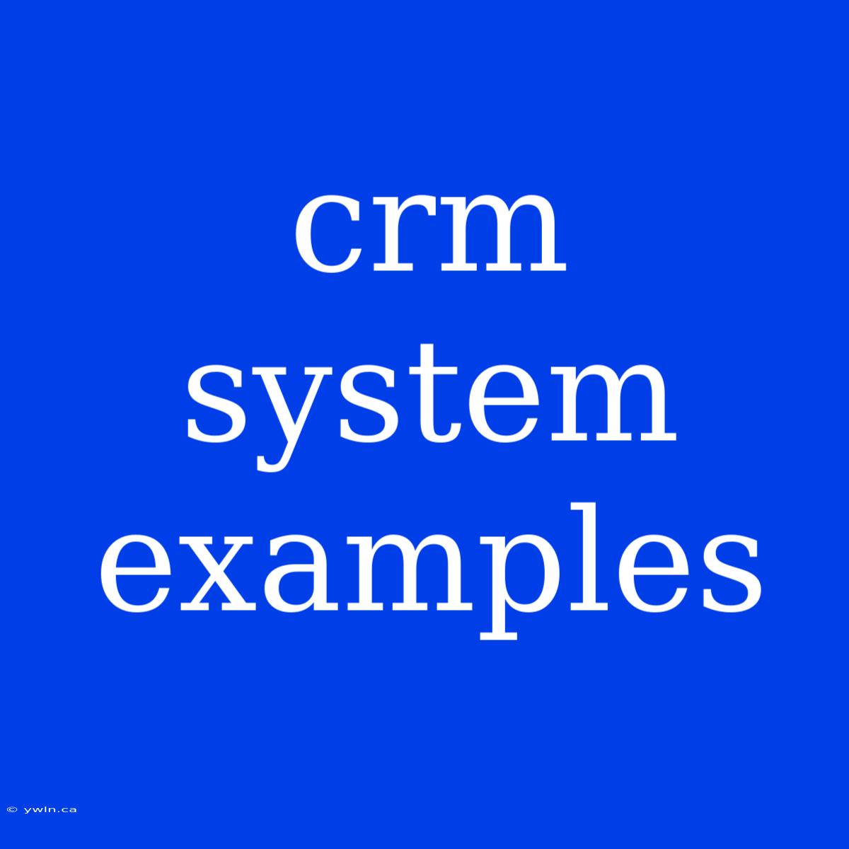 Crm System Examples