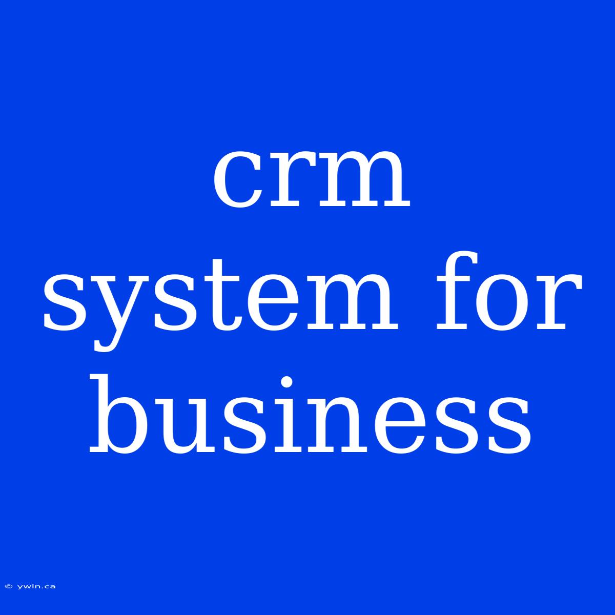 Crm System For Business