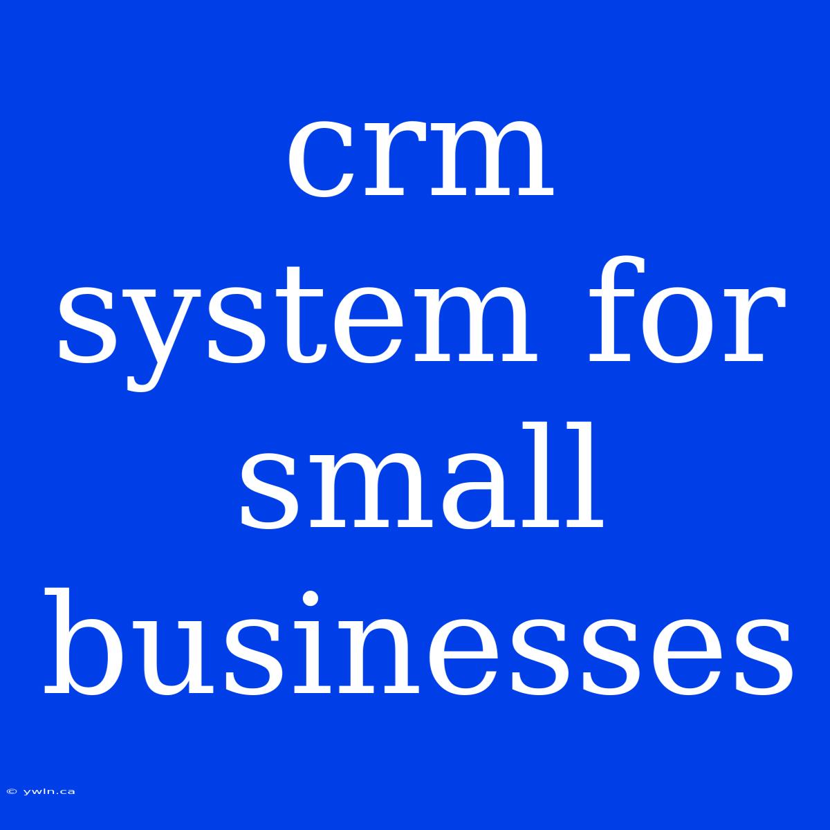 Crm System For Small Businesses