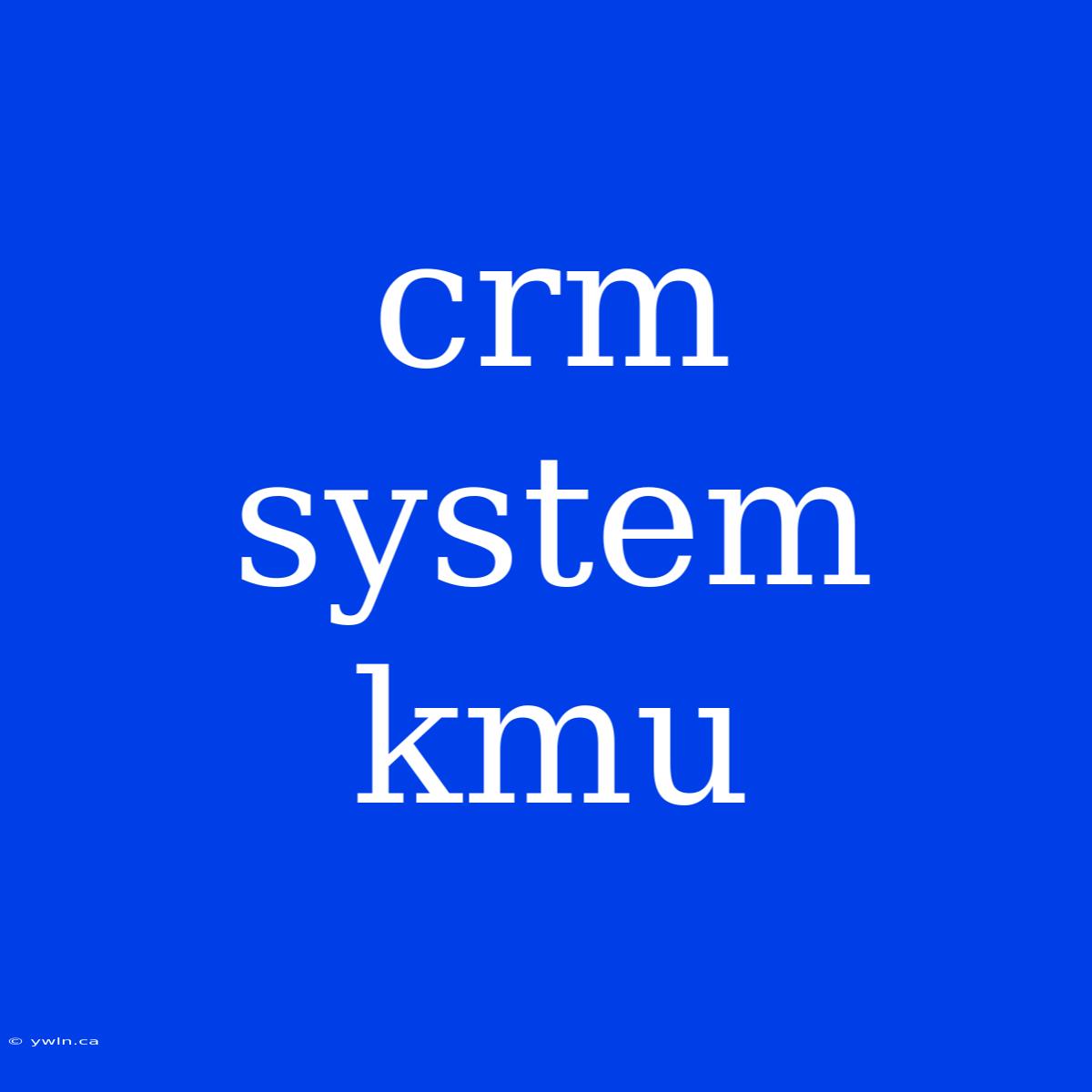 Crm System Kmu