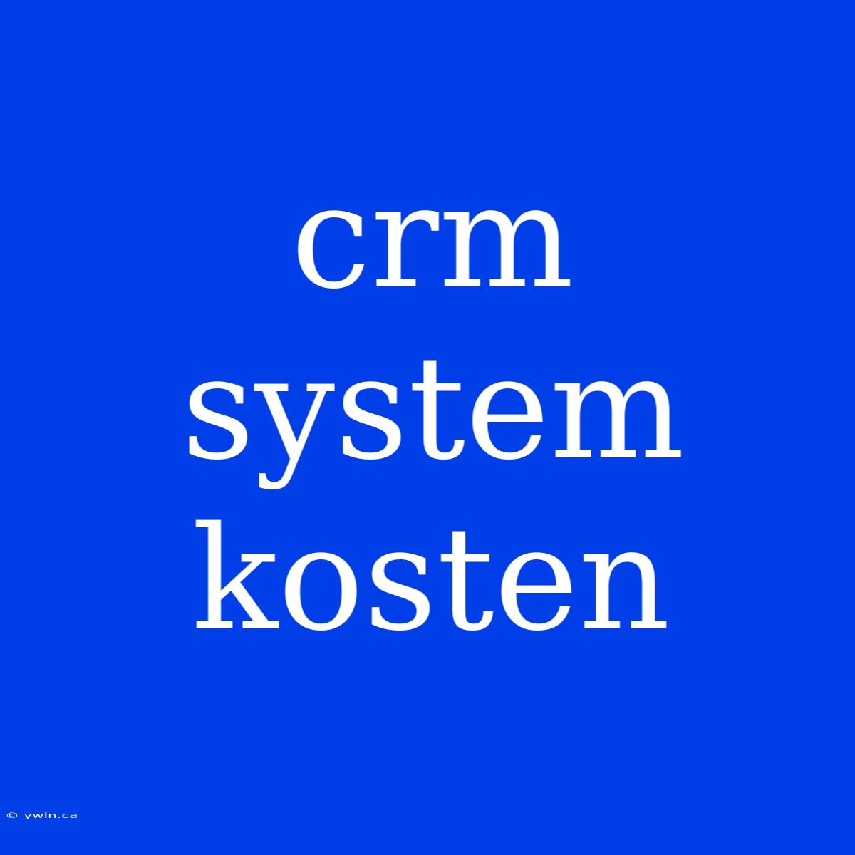 Crm System Kosten