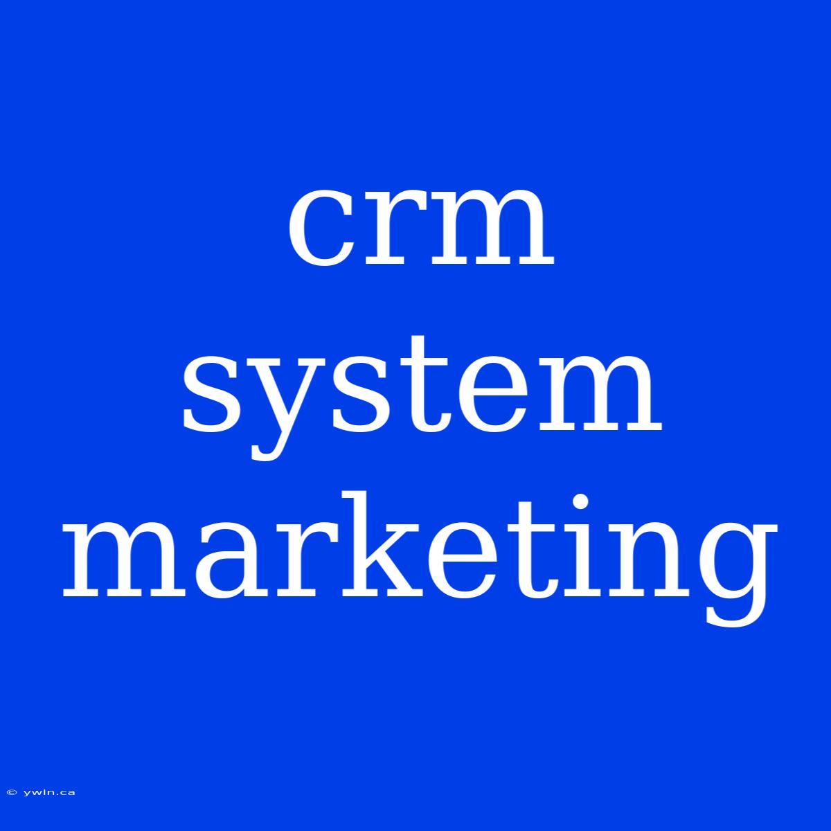 Crm System Marketing