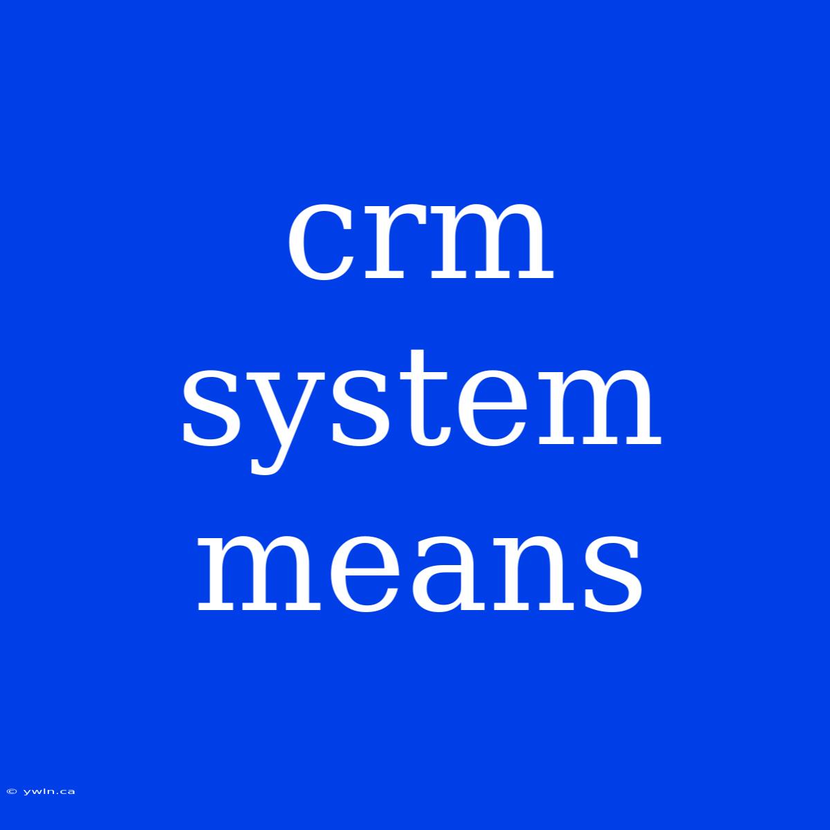 Crm System Means