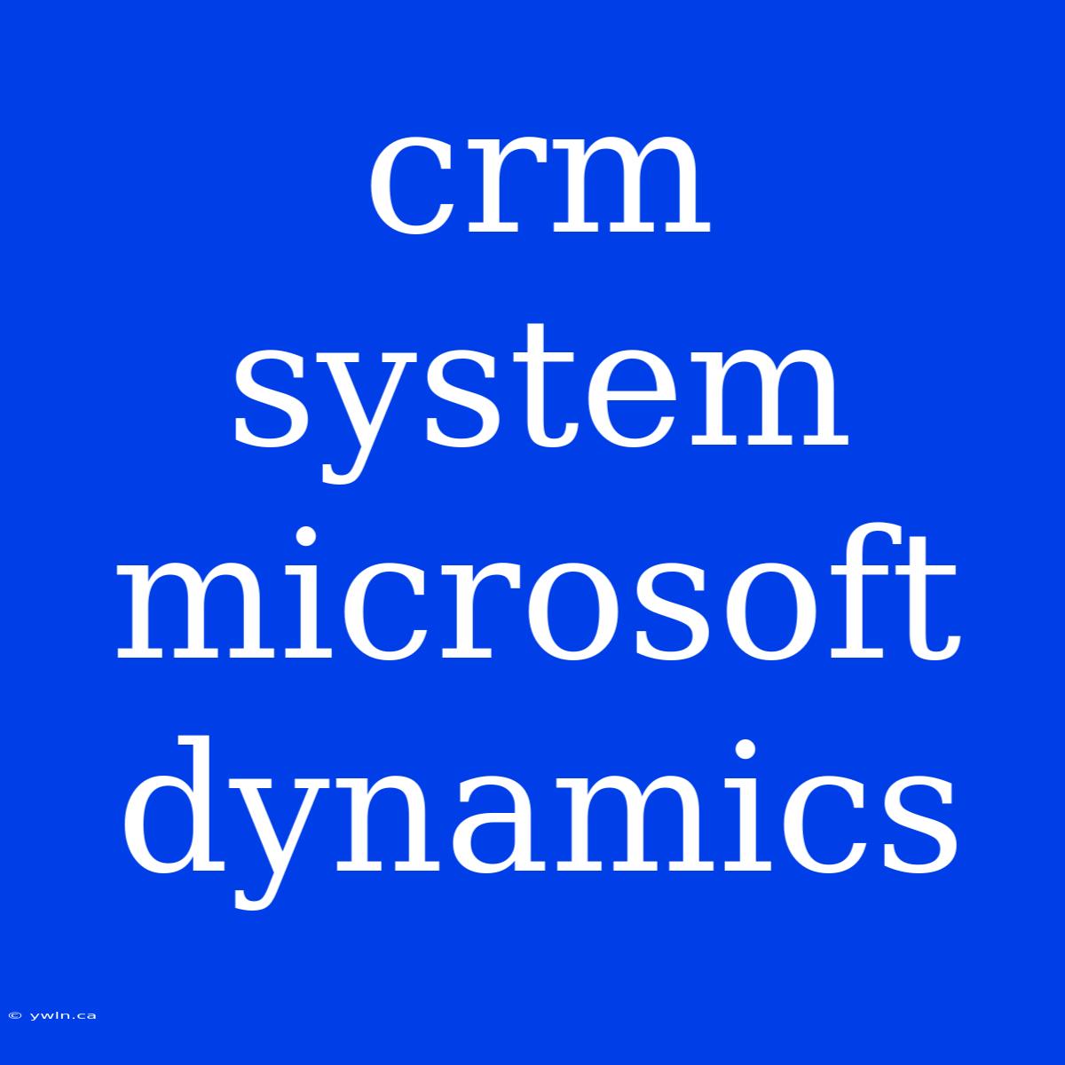 Crm System Microsoft Dynamics