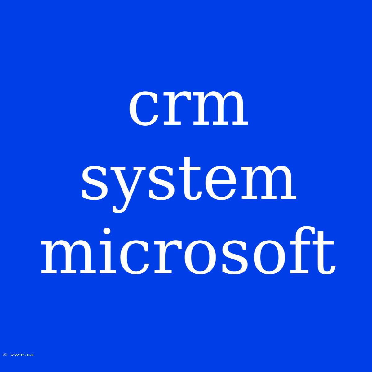 Crm System Microsoft