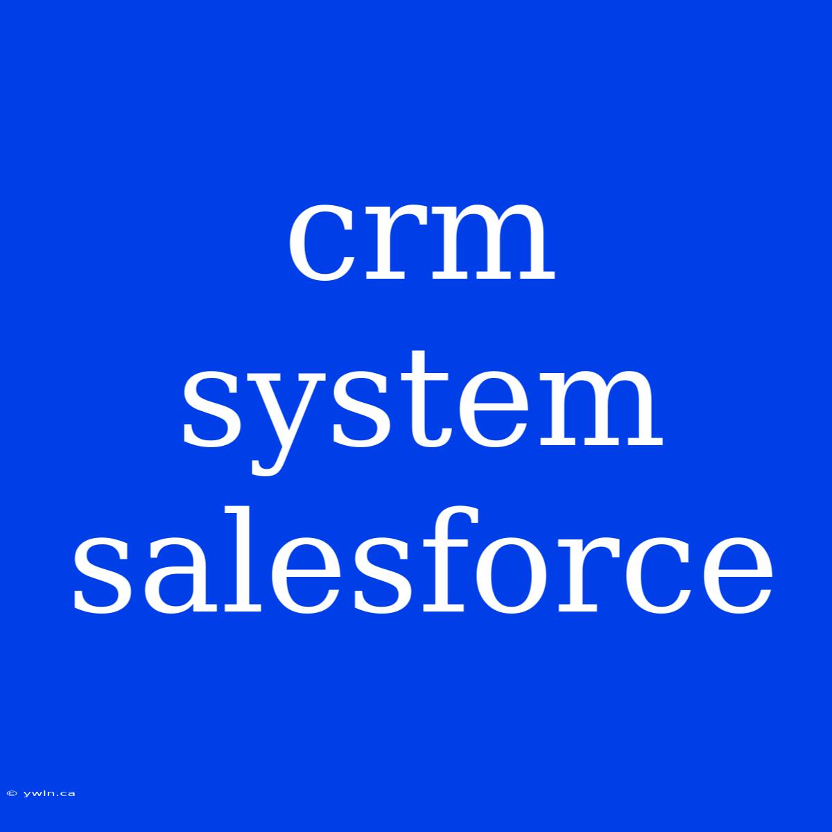 Crm System Salesforce