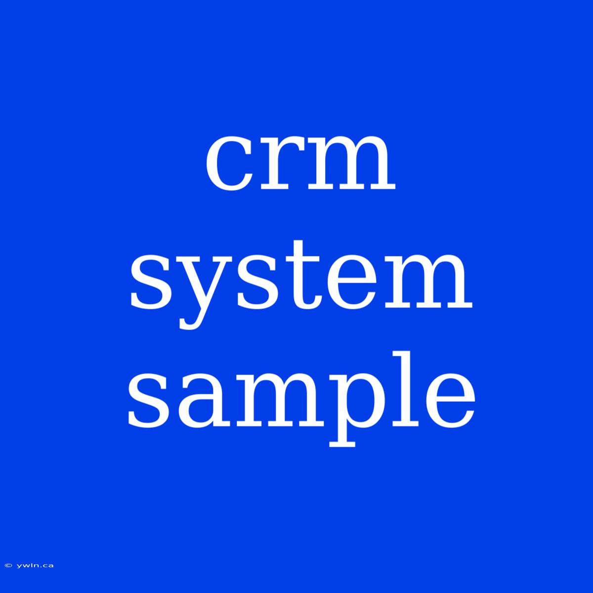 Crm System Sample