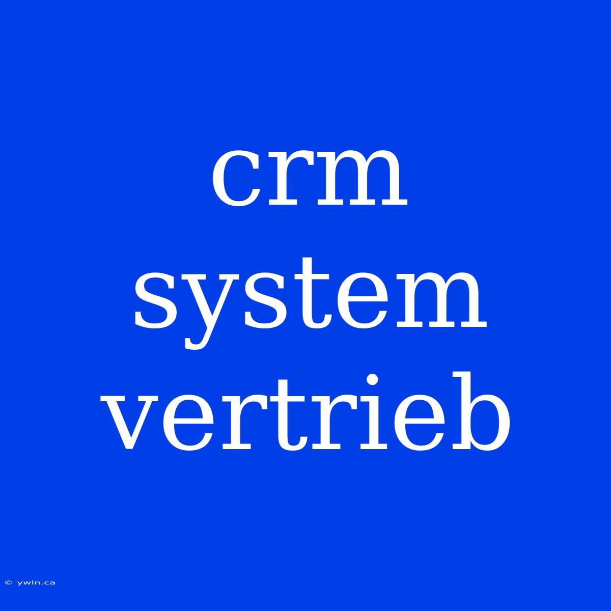 Crm System Vertrieb