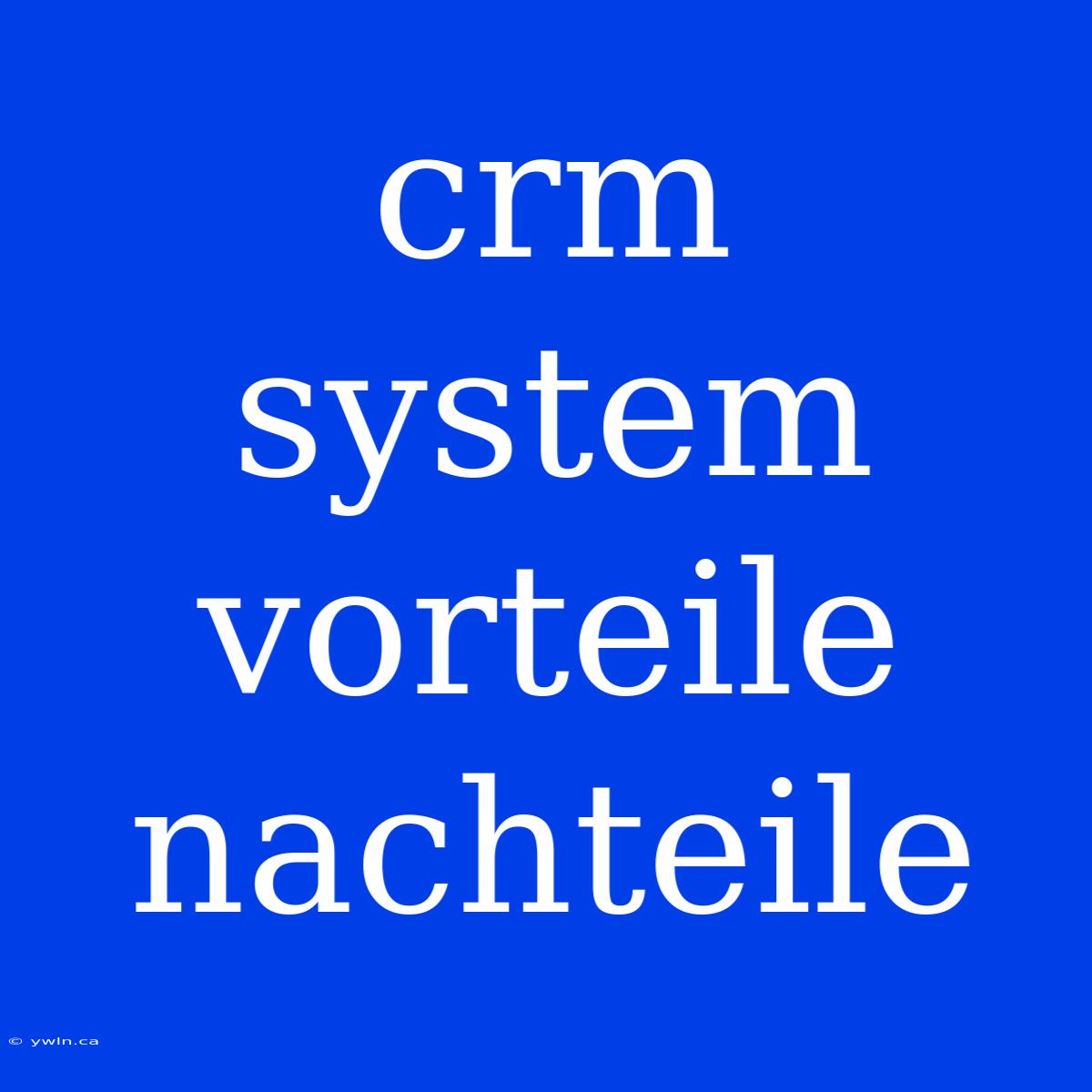 Crm System Vorteile Nachteile