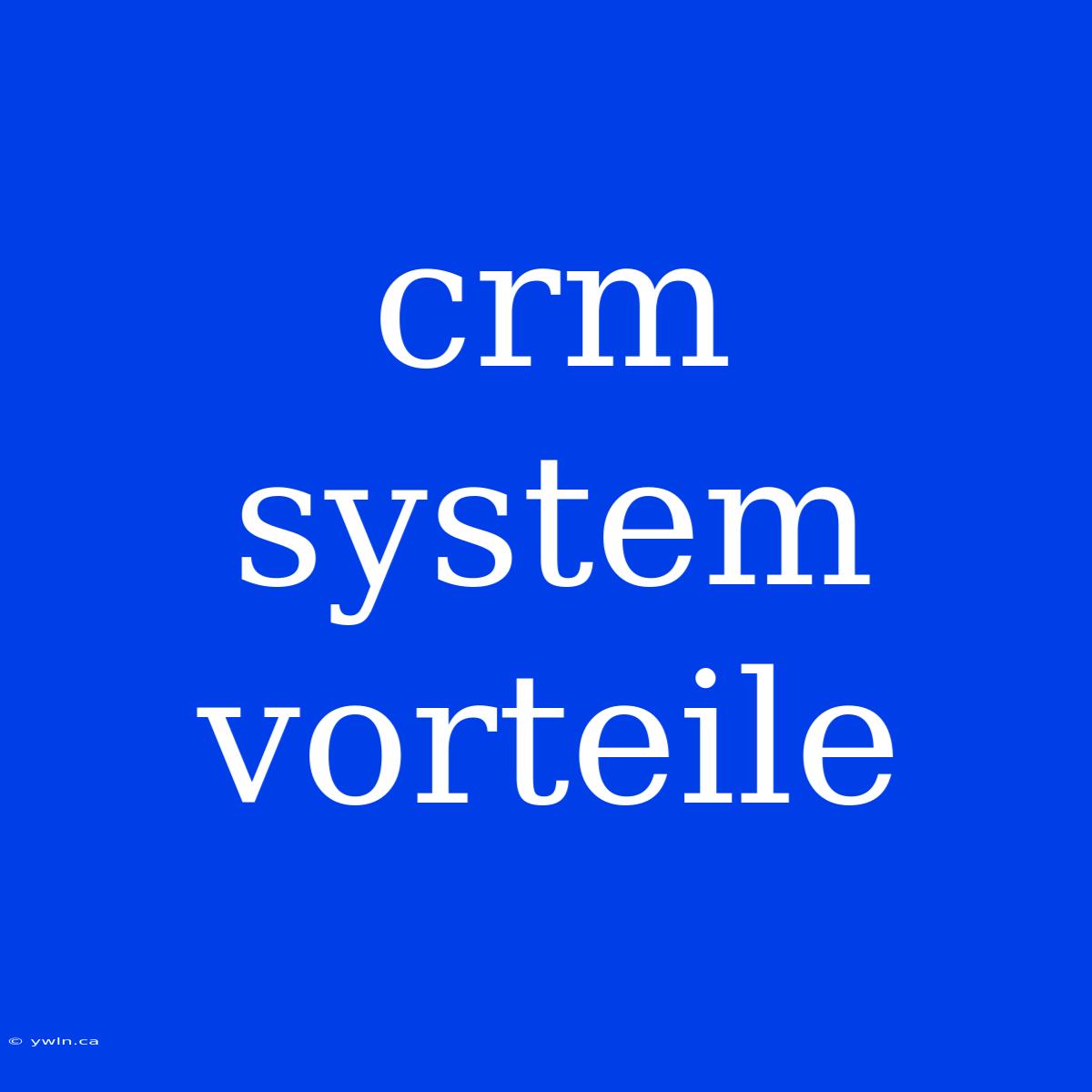 Crm System Vorteile