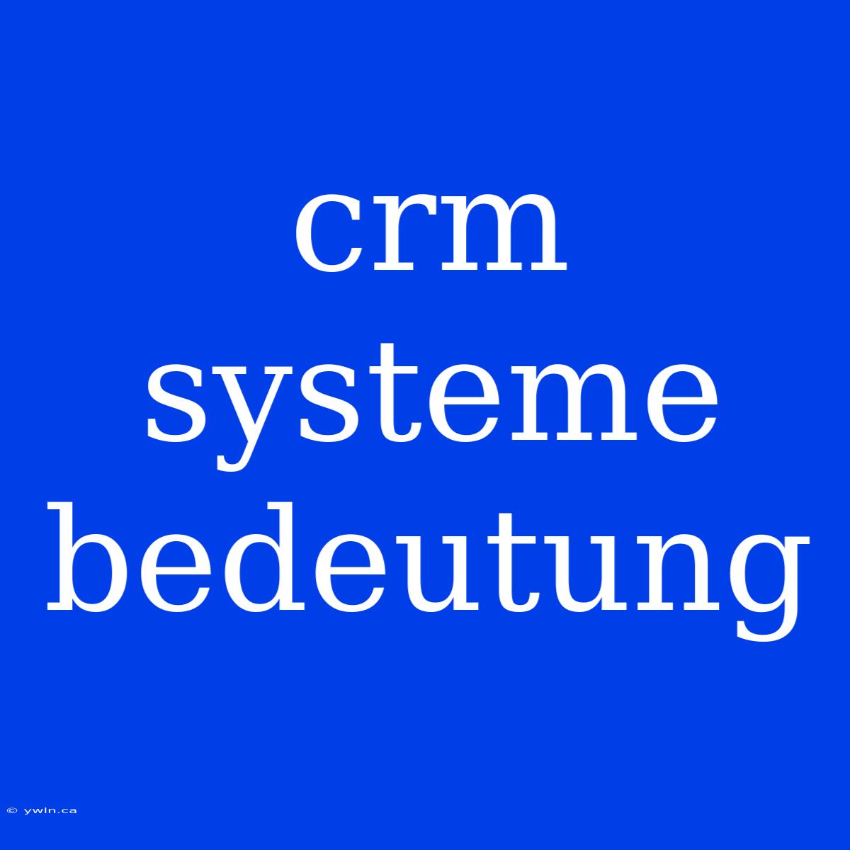 Crm Systeme Bedeutung