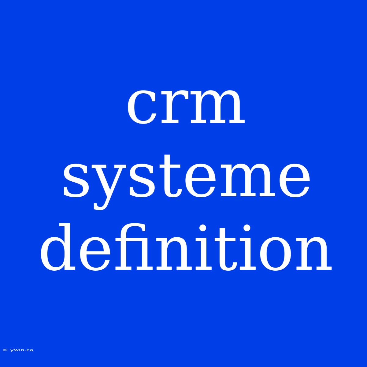 Crm Systeme Definition