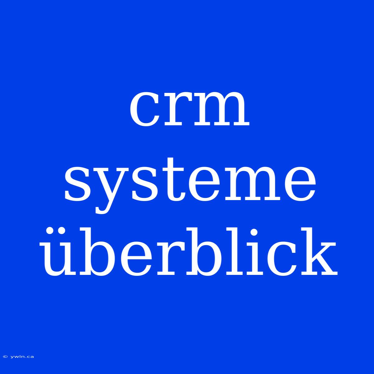 Crm Systeme Überblick