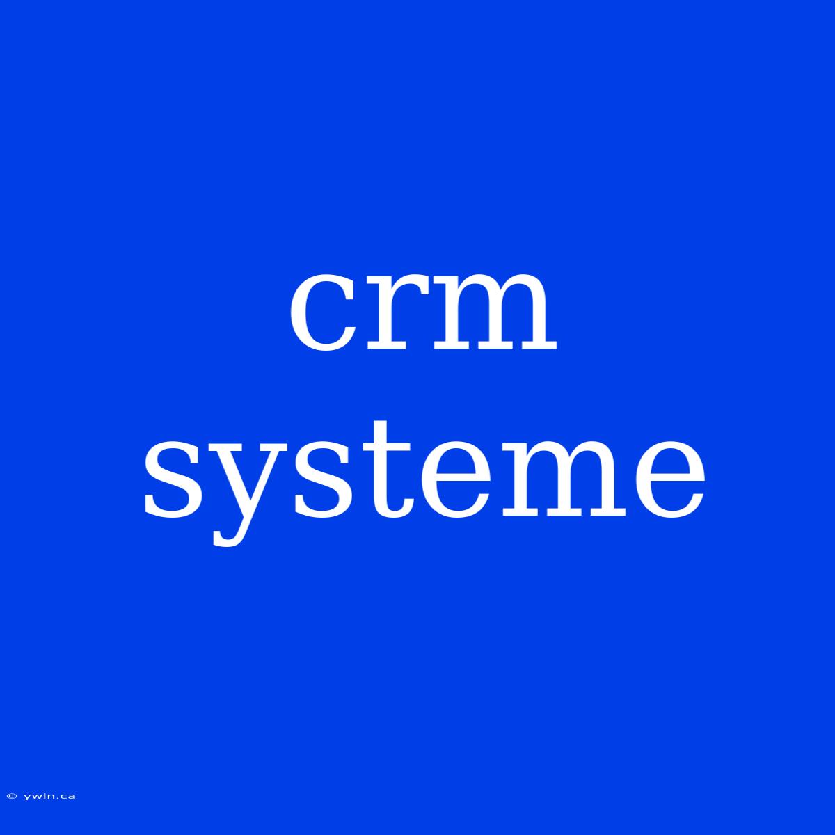 Crm Systeme