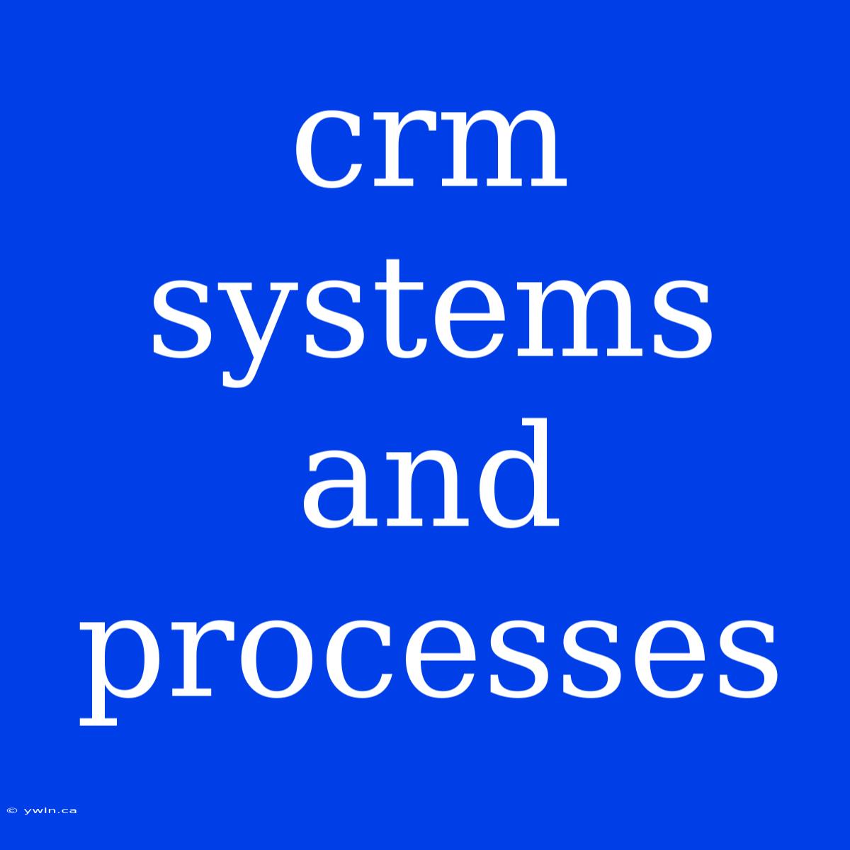 Crm Systems And Processes