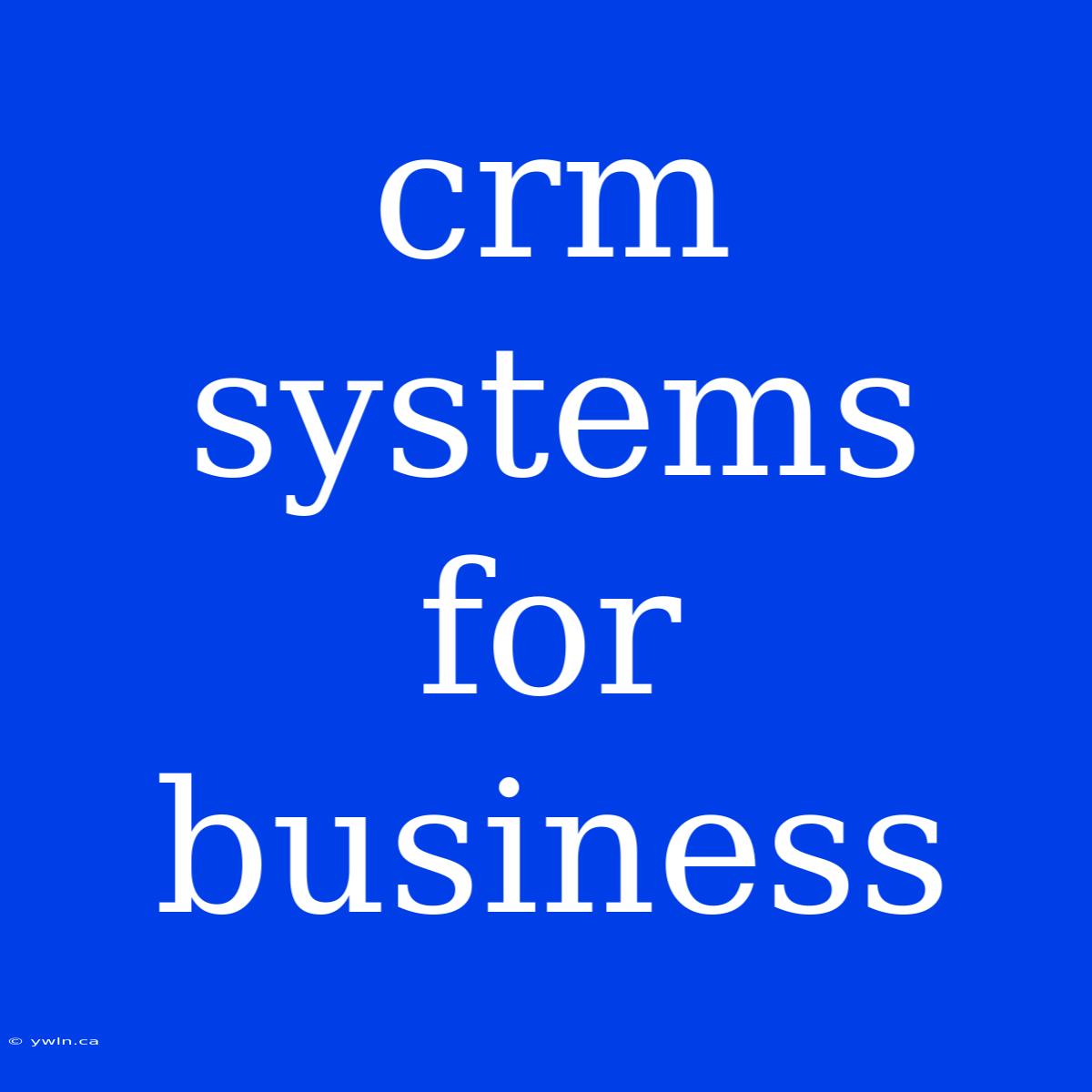 Crm Systems For Business