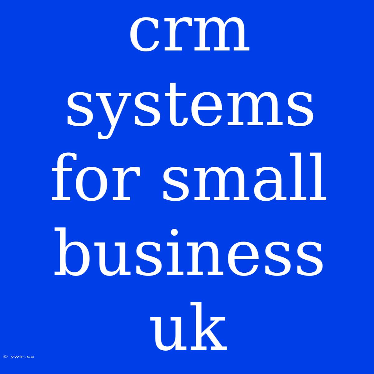 Crm Systems For Small Business Uk