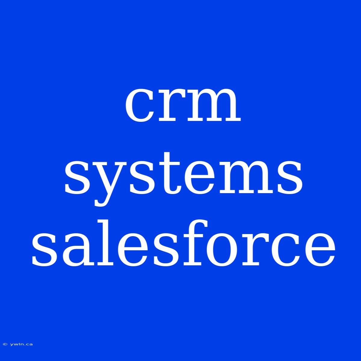 Crm Systems Salesforce