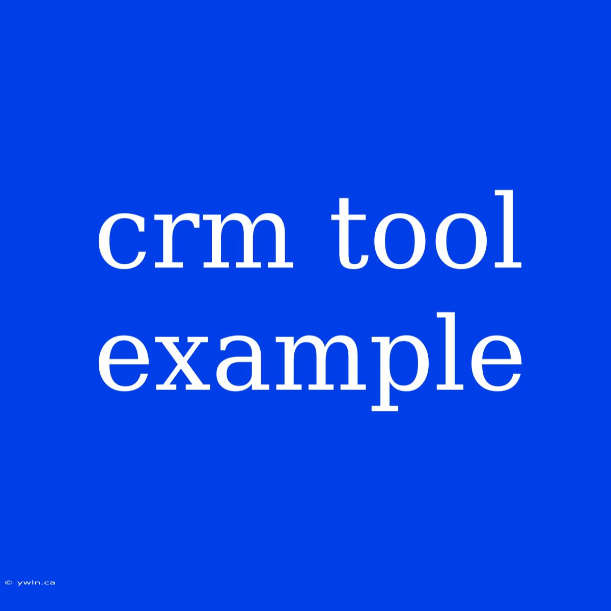 Crm Tool Example