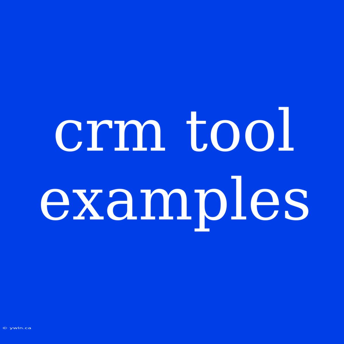 Crm Tool Examples