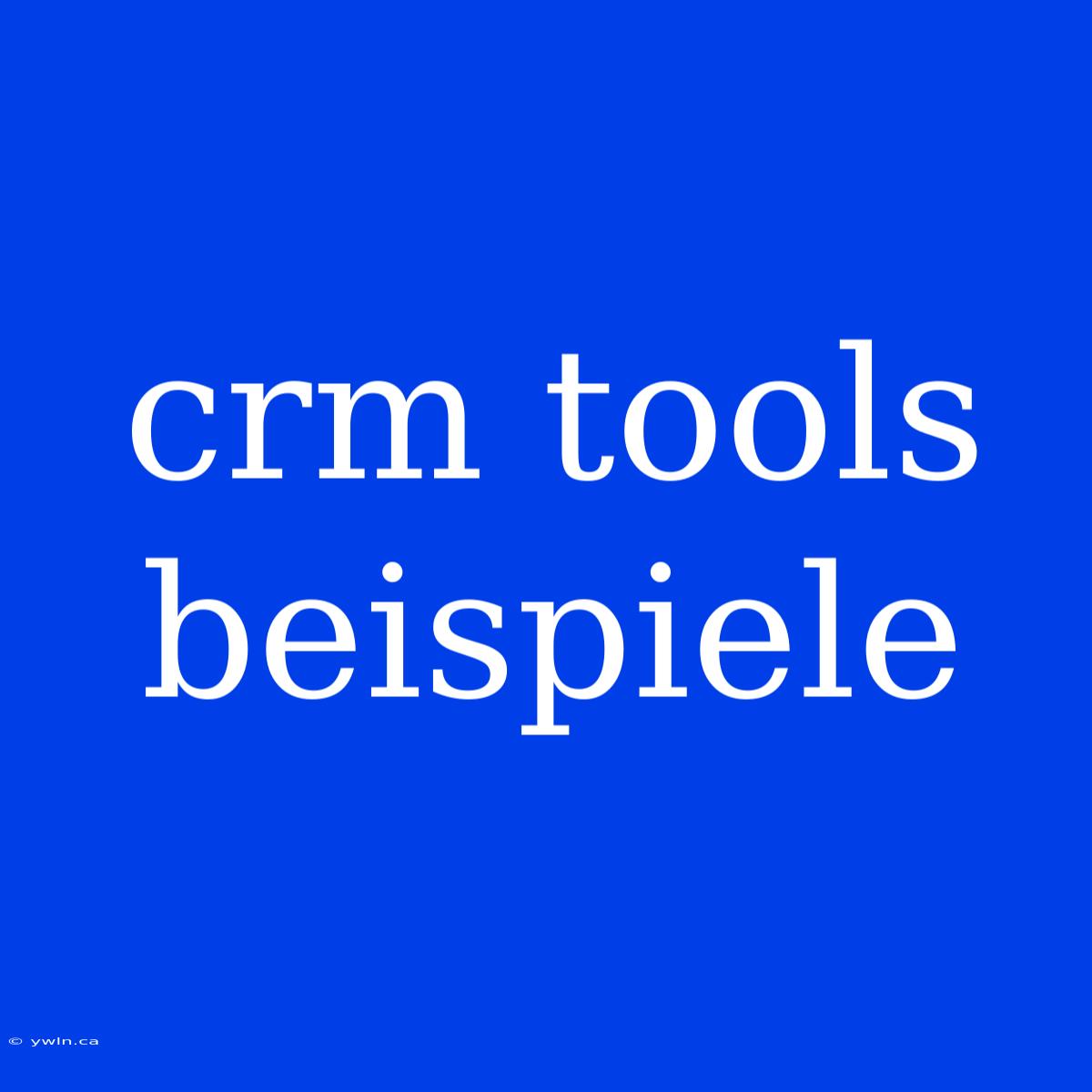 Crm Tools Beispiele