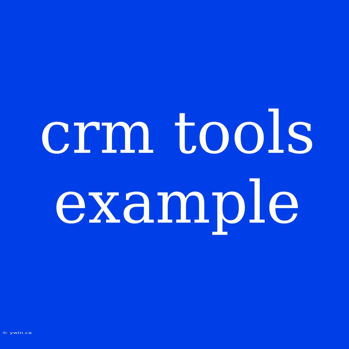 Crm Tools Example