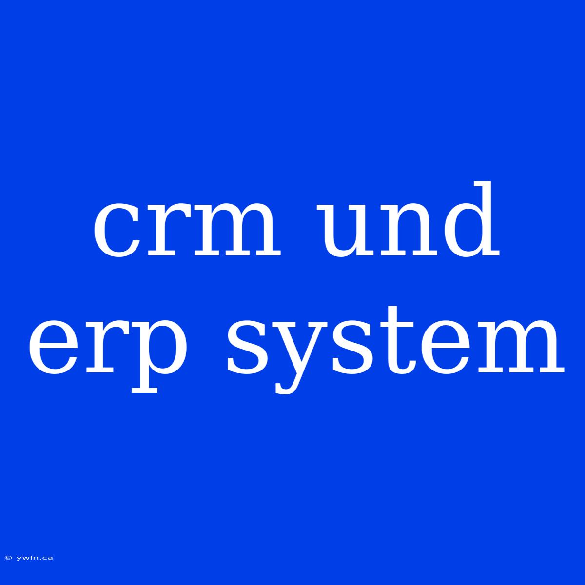 Crm Und Erp System