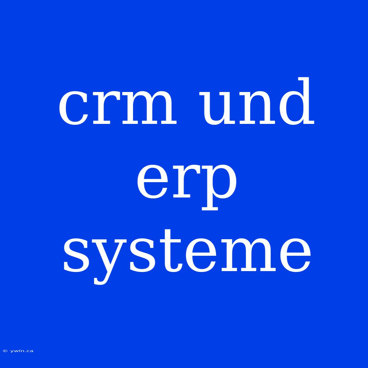 Crm Und Erp Systeme