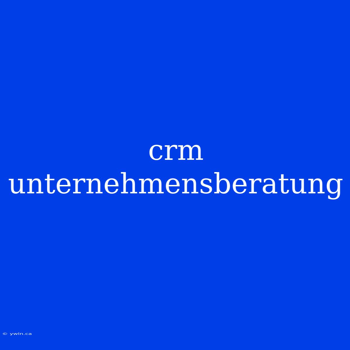 Crm Unternehmensberatung