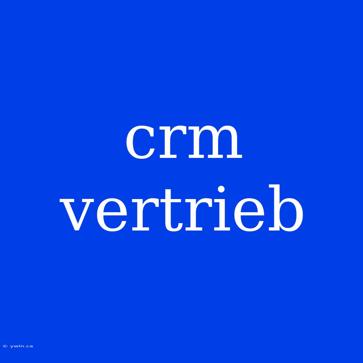 Crm Vertrieb