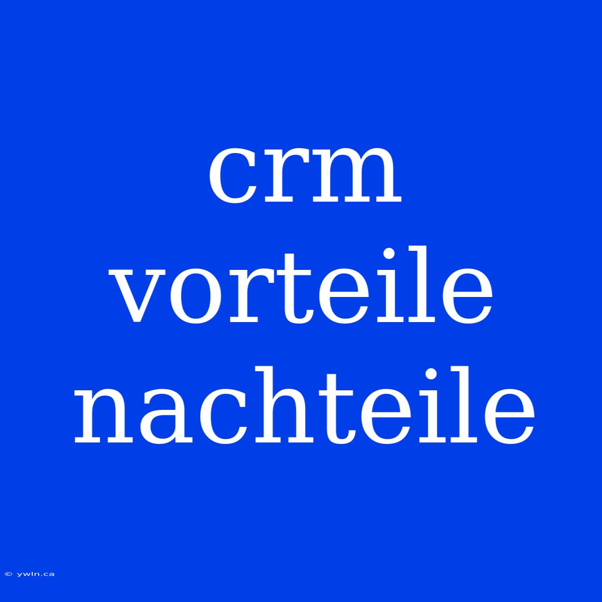 Crm Vorteile Nachteile