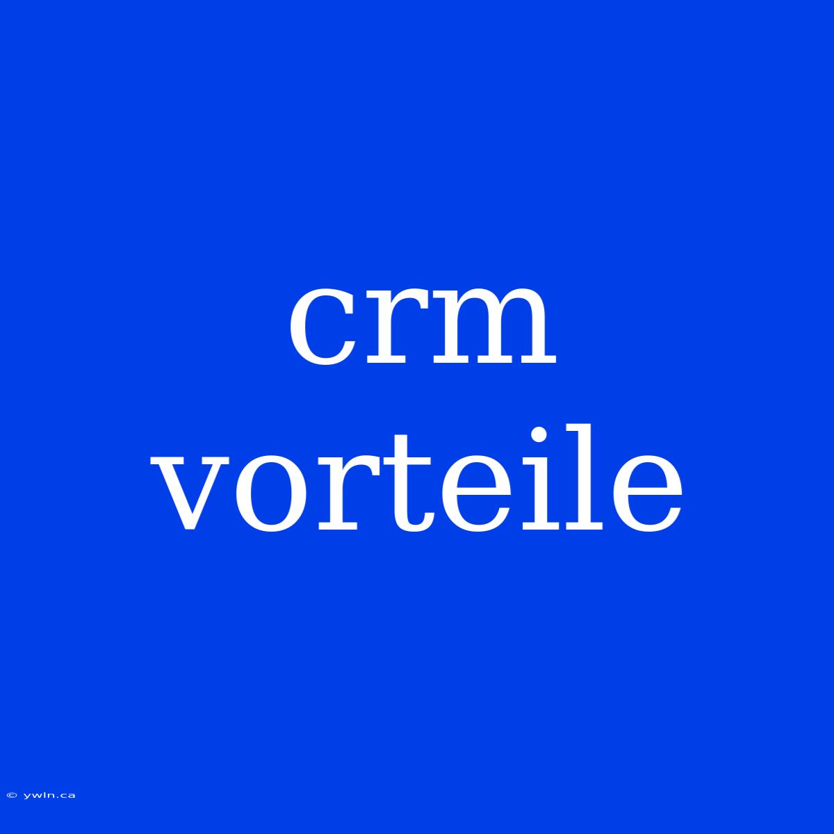 Crm Vorteile