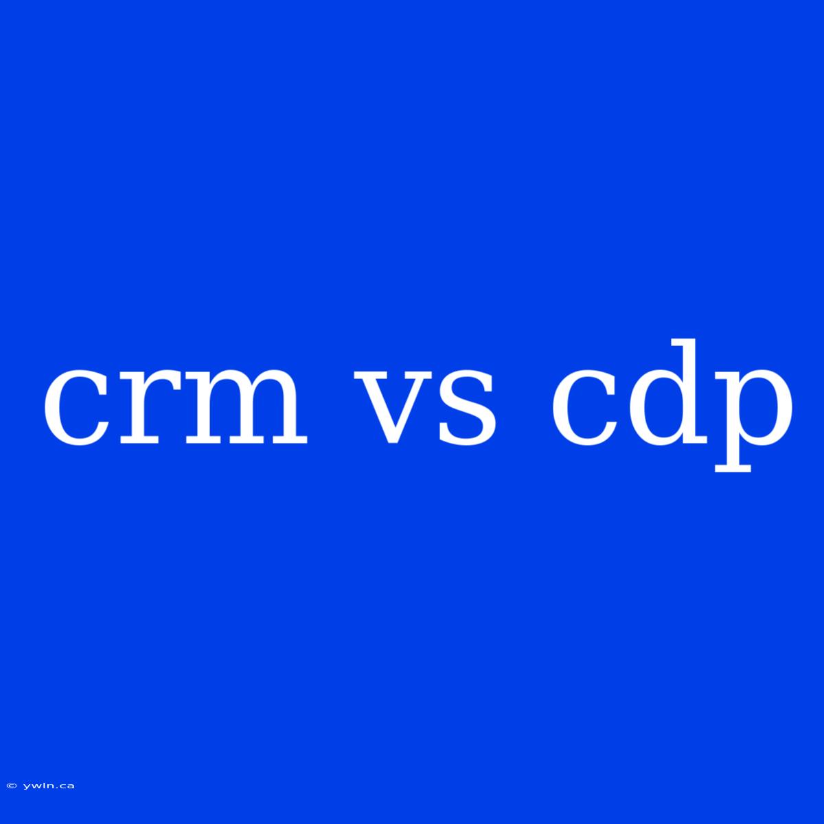 Crm Vs Cdp