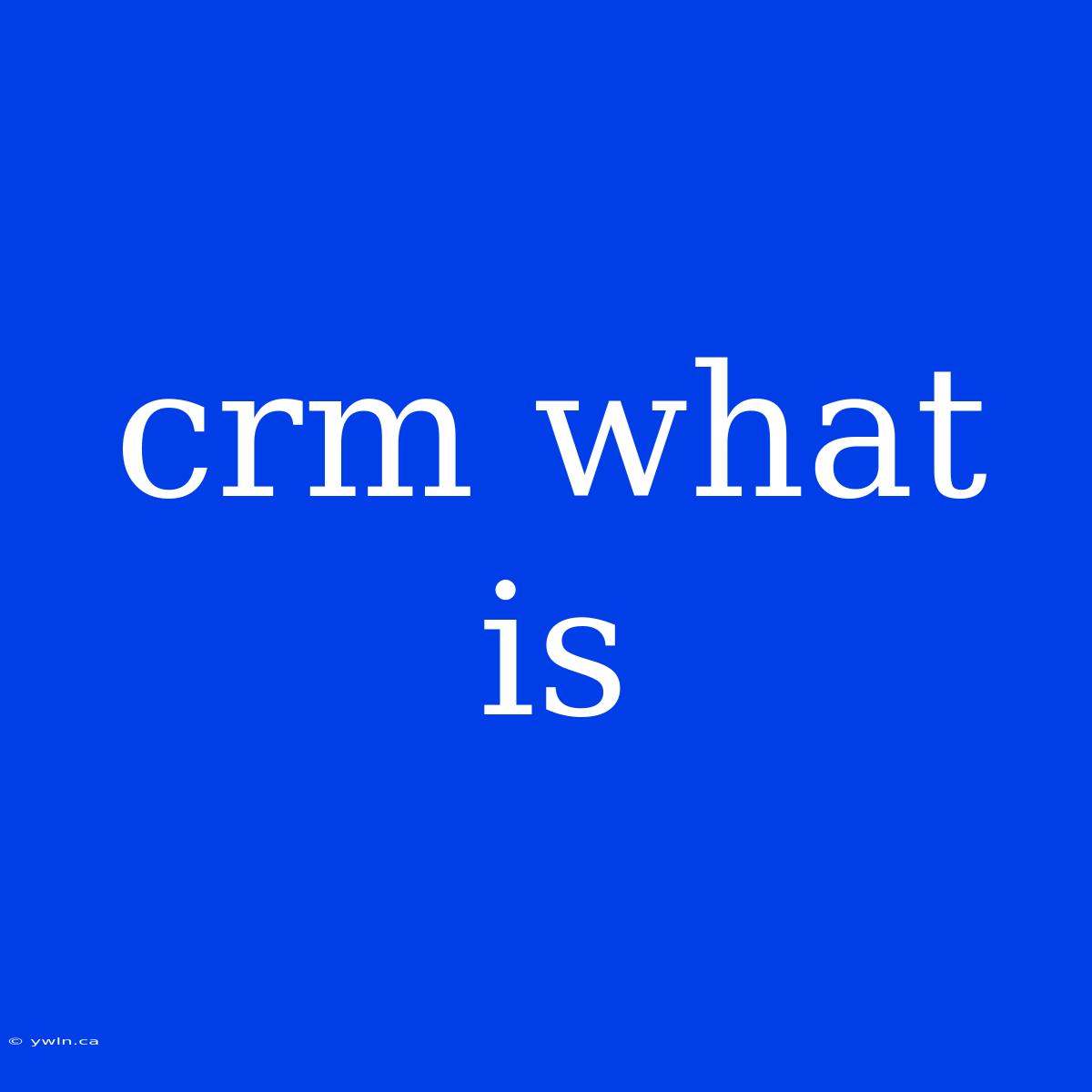 Crm What Is