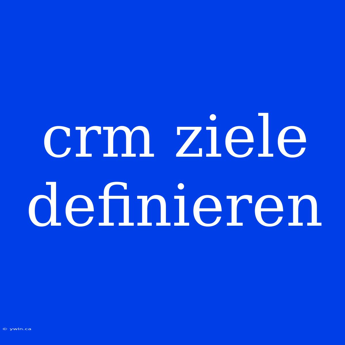 Crm Ziele Definieren