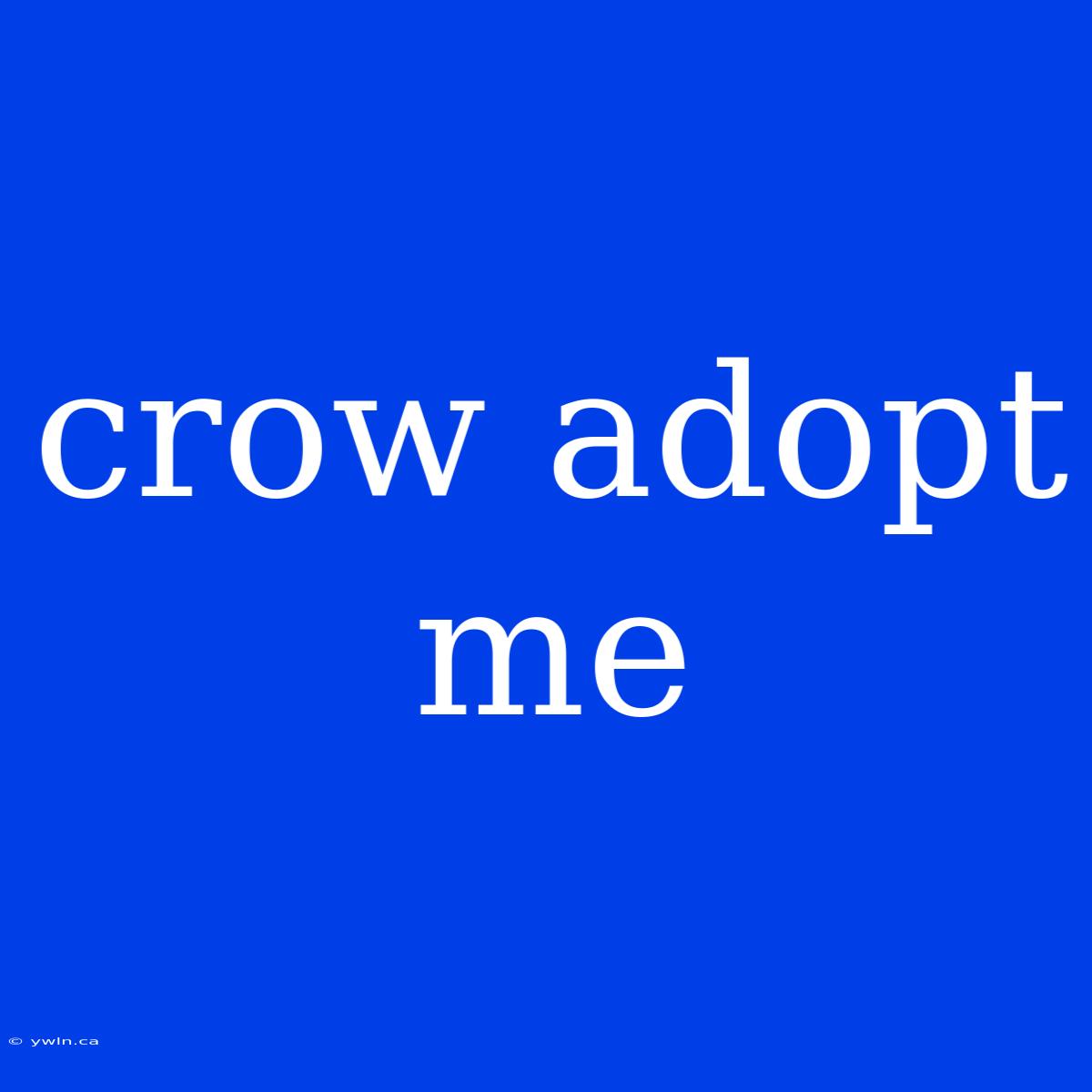 Crow Adopt Me