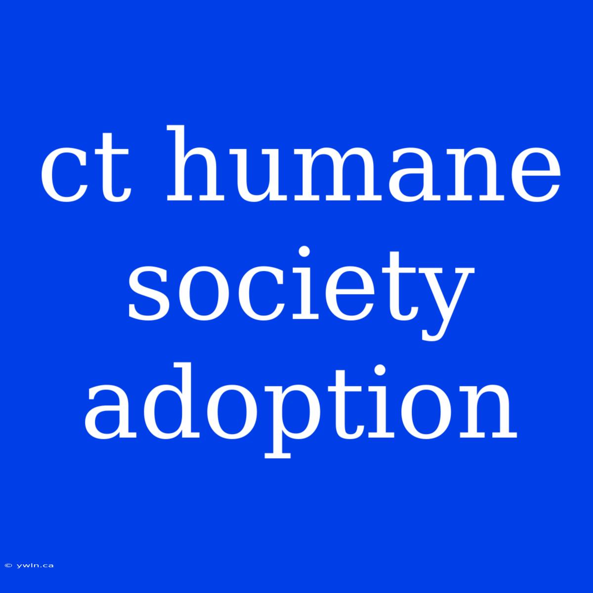 Ct Humane Society Adoption