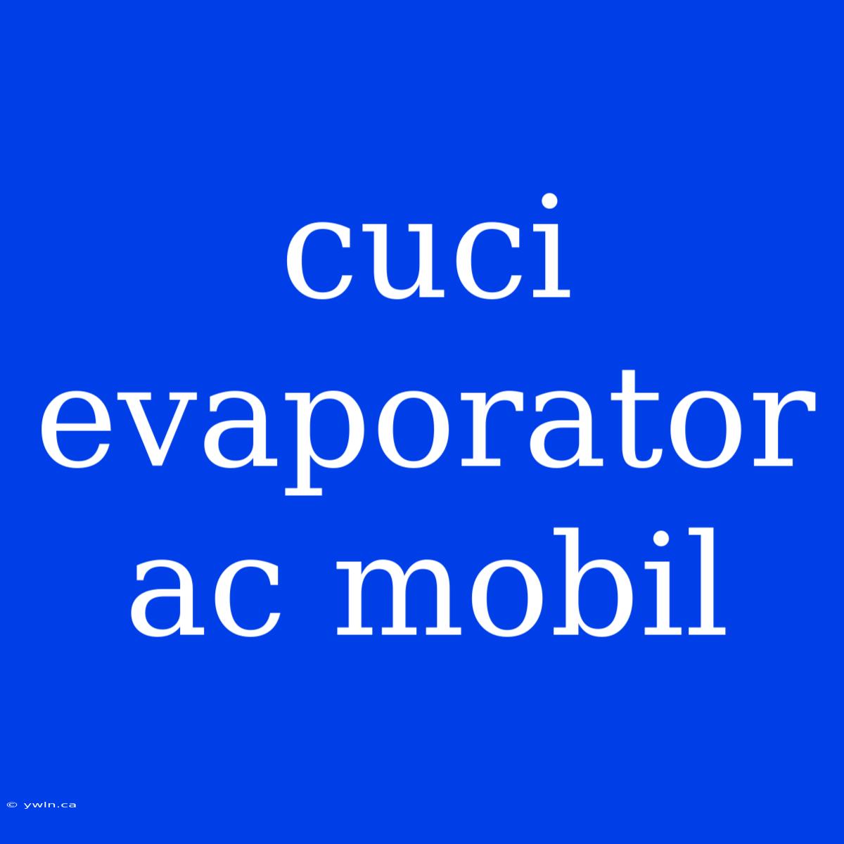 Cuci Evaporator Ac Mobil