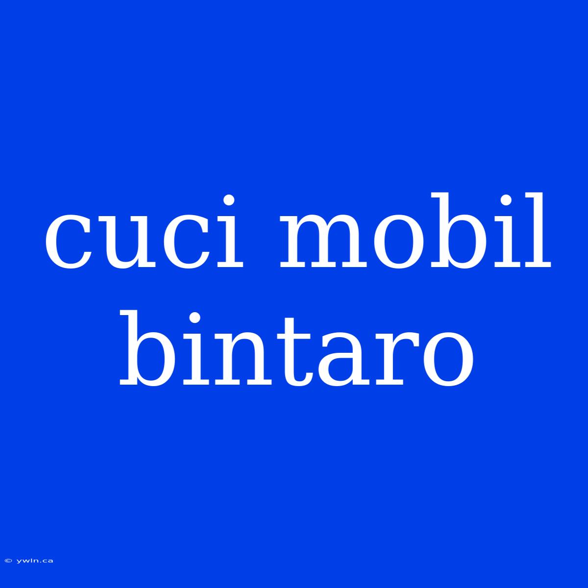 Cuci Mobil Bintaro