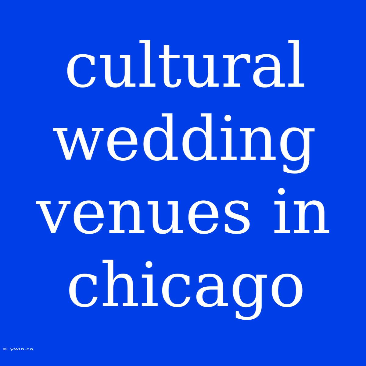 Cultural Wedding Venues In Chicago