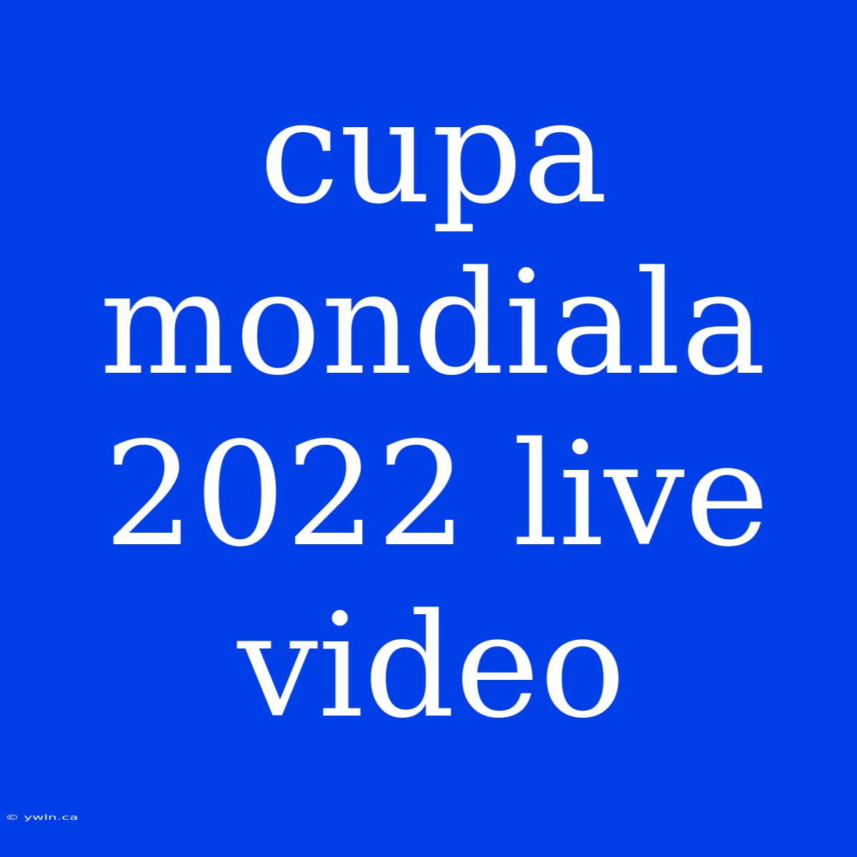 Cupa Mondiala 2022 Live Video