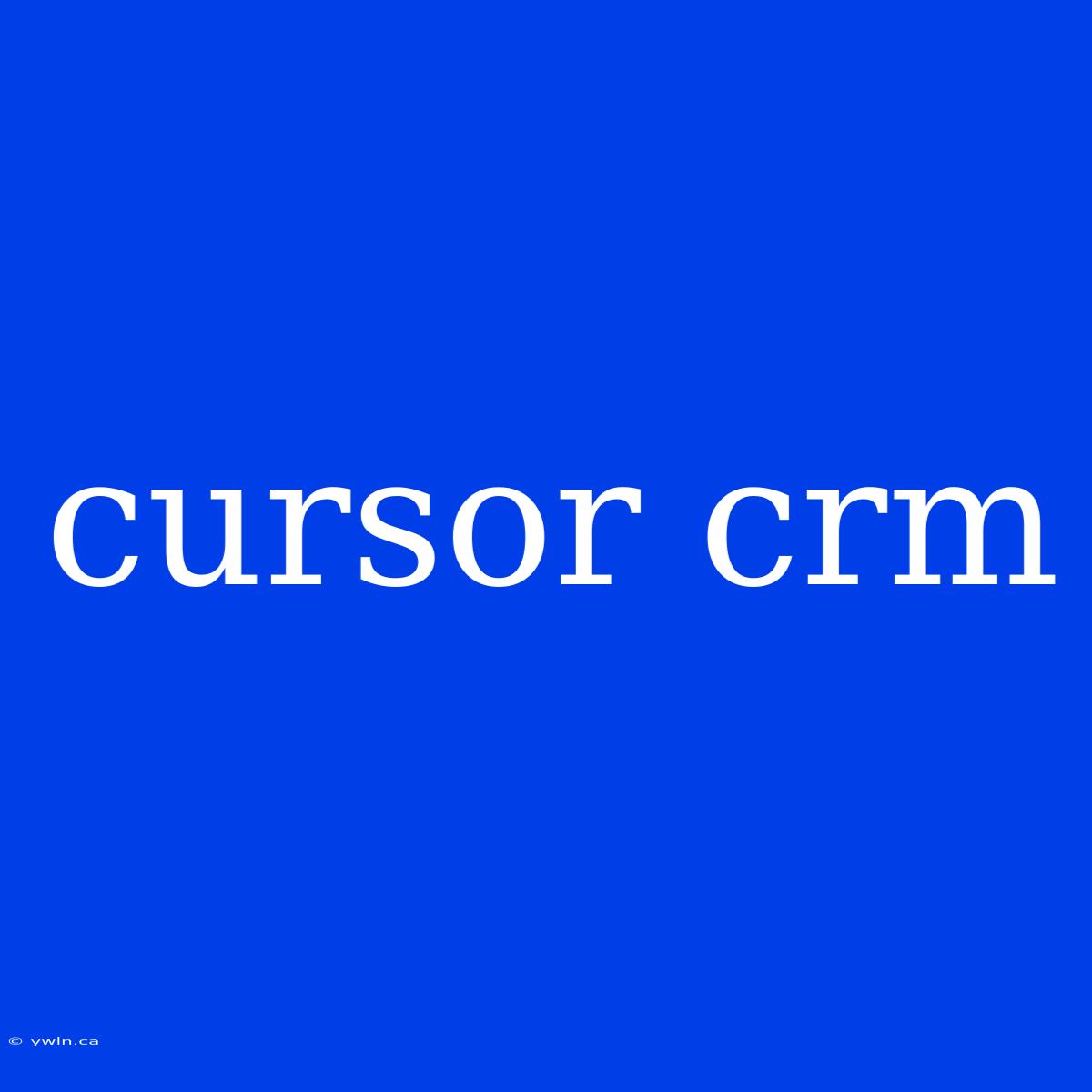 Cursor Crm