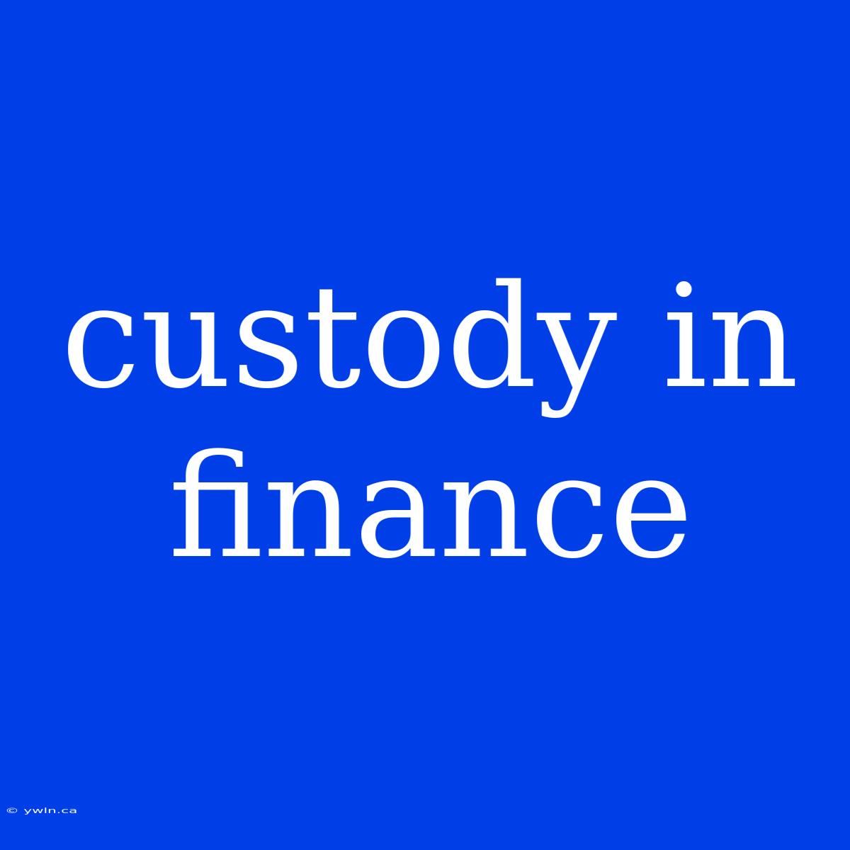 Custody In Finance