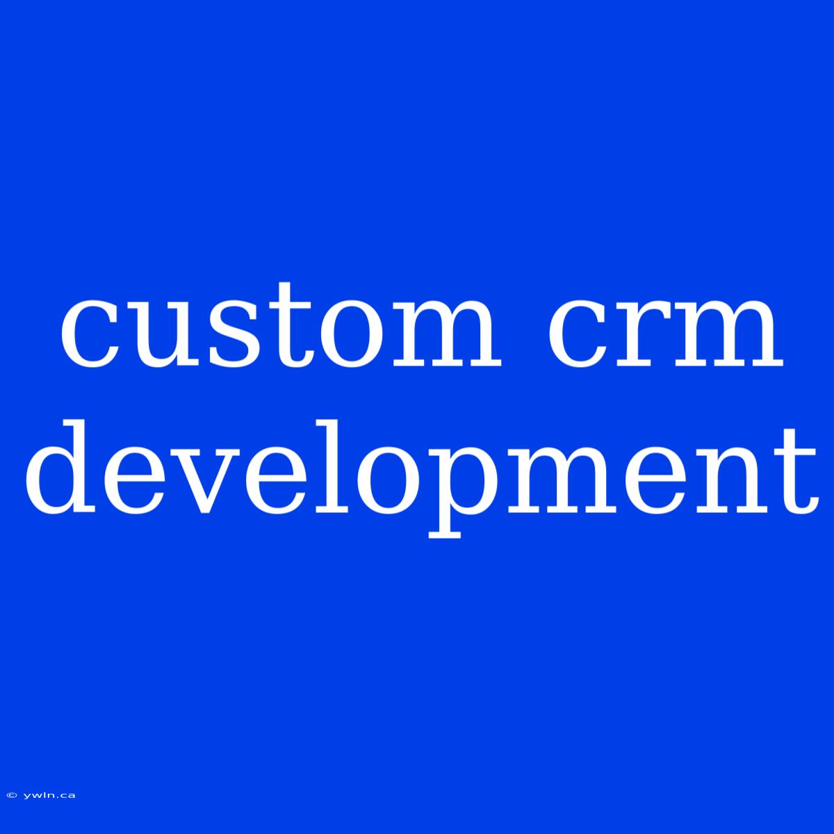 Custom Crm Development